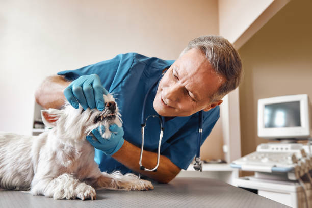 Best 24-Hour Dental Clinic Near Me  in Mountain Lakes, NJ